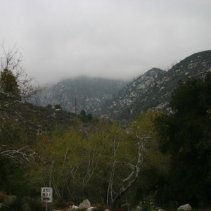 movinonup_081
