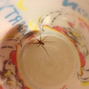 Look what I caught :D