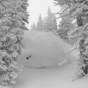polepow