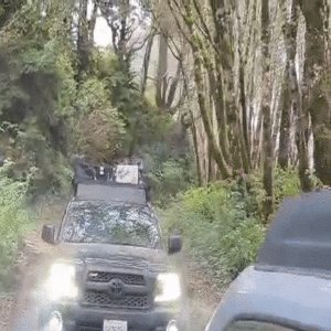 Gif Mud Puddle