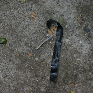 fiatlux_006