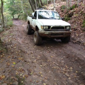 On the trail