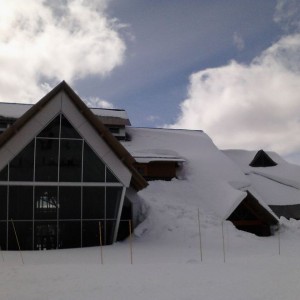 Got snow?