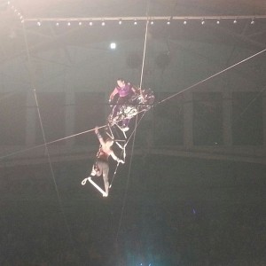 The circus is in town.