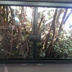 Window2