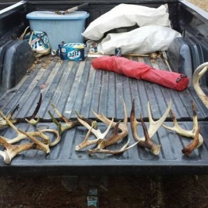 Solid afternoon of shed huntin