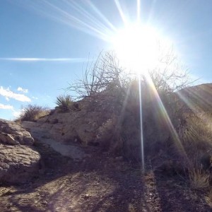 sun