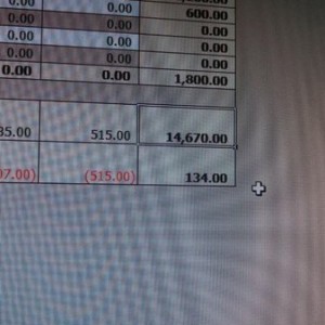 My budget for the year $134 is not leaving me with much room for fun... scr