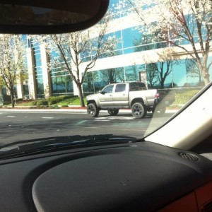 spotted