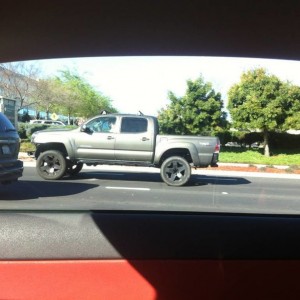 spotted