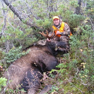 2013 Moose
