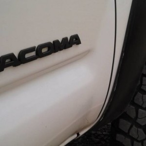 plasti dip