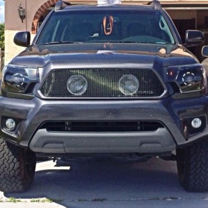 Fat