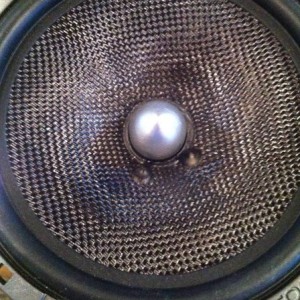 photo_2512
