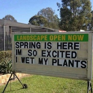 Spring_is_here