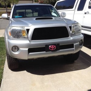 Grille pink emblem