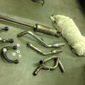 Dual Exhaust control arm