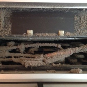 Friendly reminder to check your fridge coils to see if they are clearance