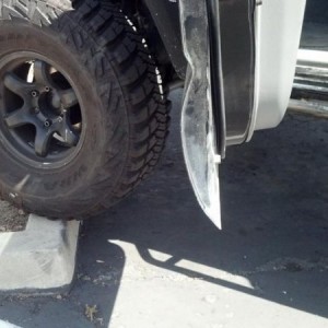 How Jasmine parks..