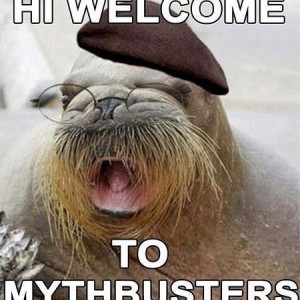 img-1442209-1-Mythbusters-meme-joke-funny-lol_thumb