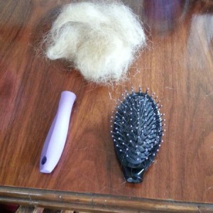 Sure hunny, I will brush your doll's hair. Holy rats nest.