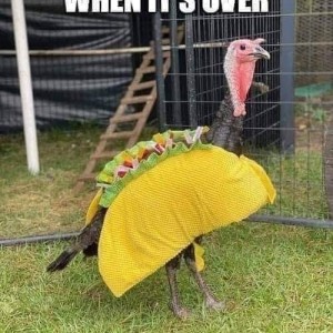 Thanksgiving_taco_disguise