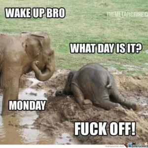 fuck-off-monday_o_790699