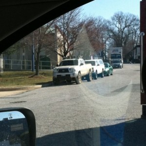 Spotted Timonium MD
