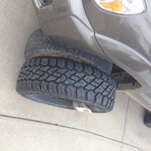 44442