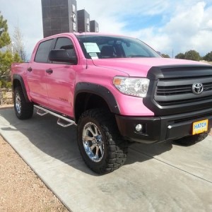 pink tundra