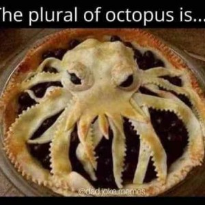 OctoPie