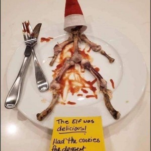 Elf