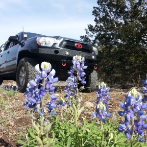 Spring is here