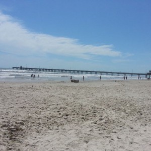 Nice day at the beach