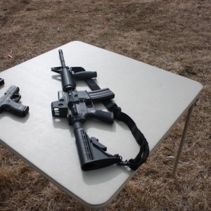 Bushmaster .223