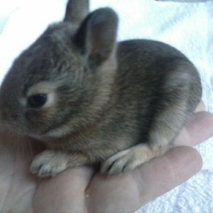 He's pretty small