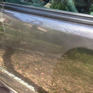 Pollen side