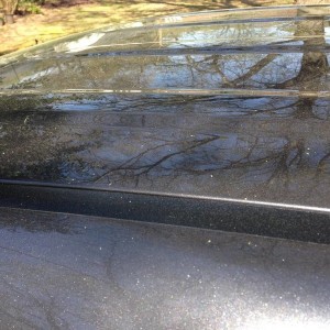 Pollen hood