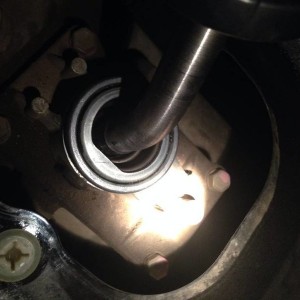 Shifter bushing