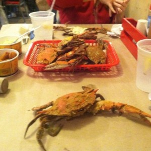 First crabs of the season! All typos and random question marks courtesy of 