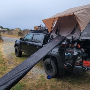 With Dog Ramp