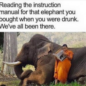 Reading-the-elephant-manual