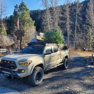 Tacoma Christmas Tree