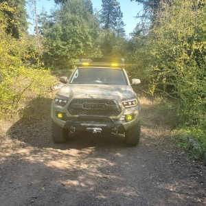 Trails in PNW