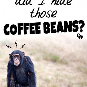 Monkey Bean