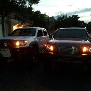 Shred VS Red