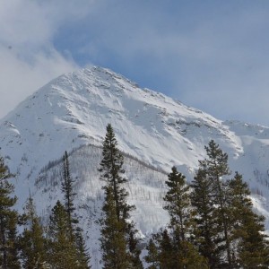 Scenic1
