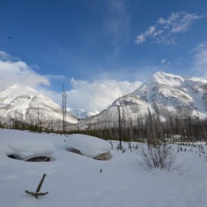 Scenic3