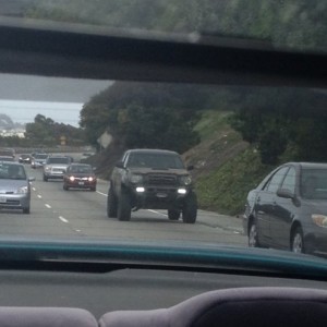 spotted