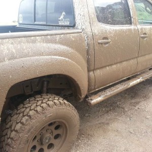 Muddy